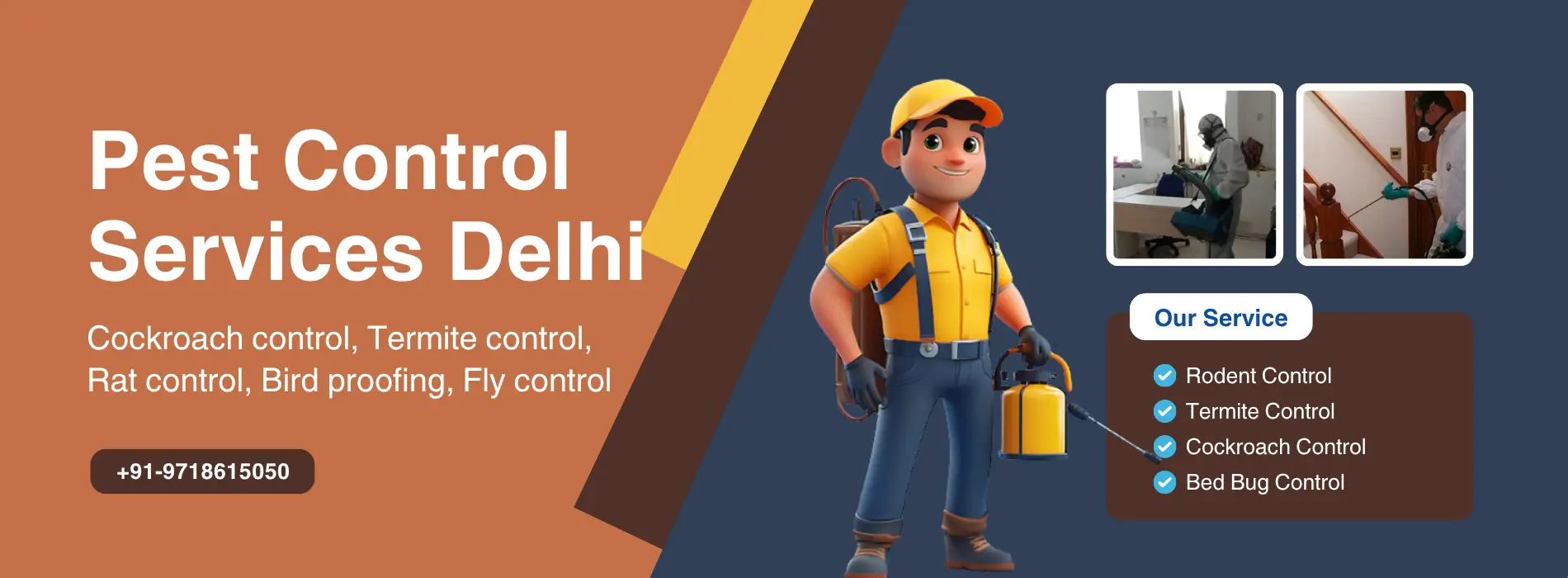Pest Control Services in Delhi